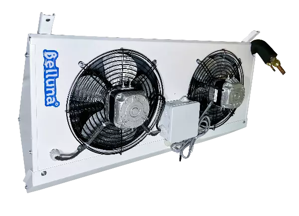 Belluna U102